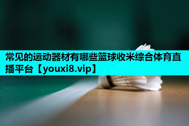 常见的运动器材有哪些篮球收米综合体育直播平台