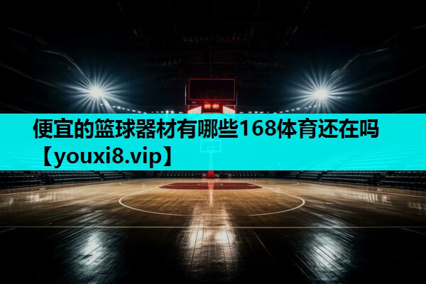 便宜的篮球器材有哪些168体育还在吗