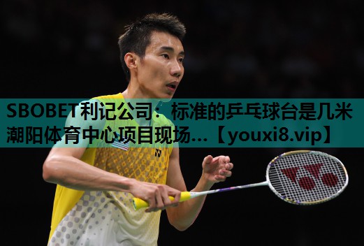 SBOBET利记公司：标准的乒乓球台是几米潮阳体育中心项目现场…