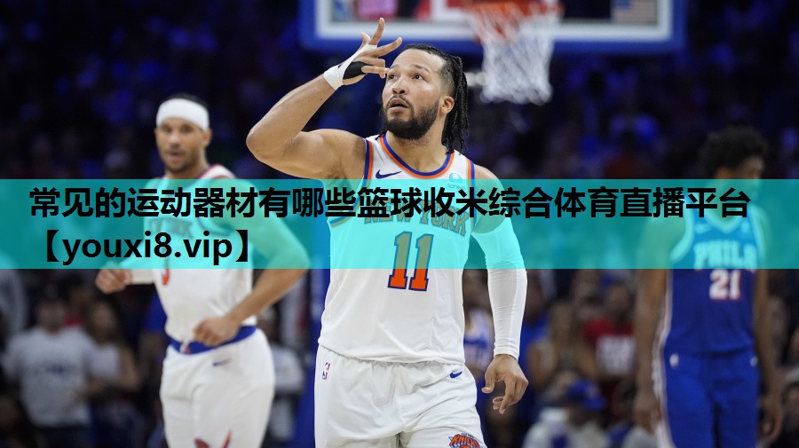 常见的运动器材有哪些篮球收米综合体育直播平台